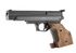 Pistolet 4.5mm (Plomb) COMPETITION COMPACT GAUCHER AIR COMPRIME GAMO 