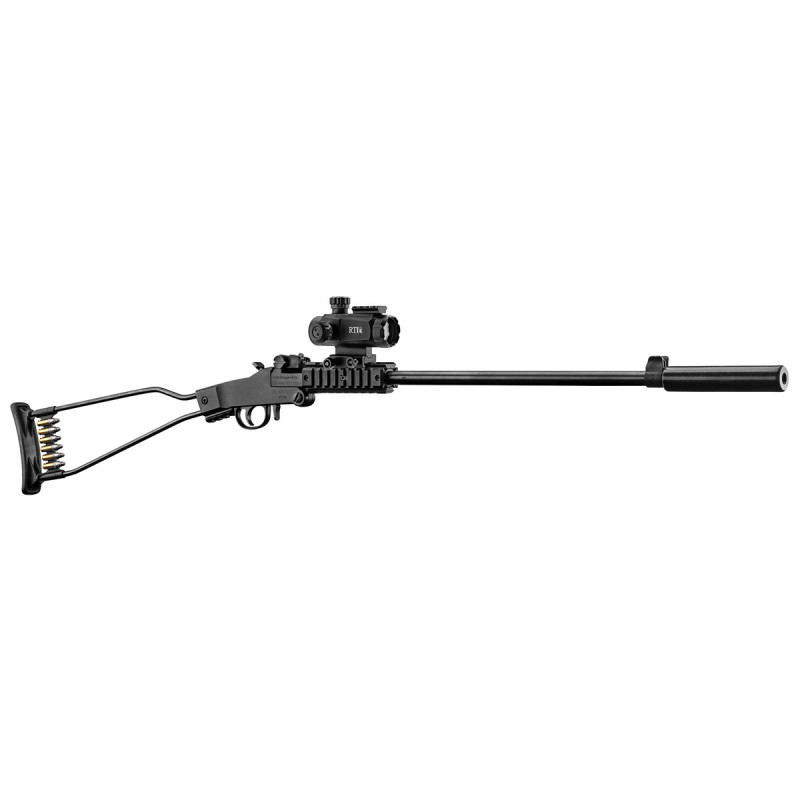 Pack Carabine 22LR LITTLE BADGER + SILENCIEUX + POINT ROUGE CHIAPPA - Catégorie C