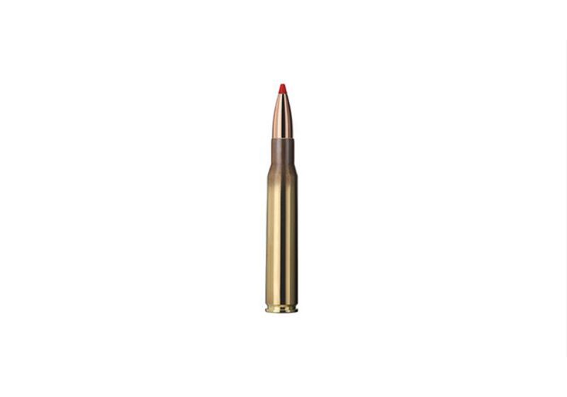 Cartouches CALIBRE 30-06 EXPRESS 165gr (10.7g) GECO X20 - Catégorie C Cartouches CALIBRE 30-06 EXPRESS 165gr (10.7g) GECO X20 - Catégorie C