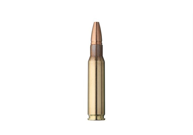 Cartouches CALIBRE 308 WIN ZERO 136gr (8.8g) GECO X20 - Catégorie C Cartouches CALIBRE 308 WIN ZERO 136gr (8.8g) GECO X20 - Catégorie C