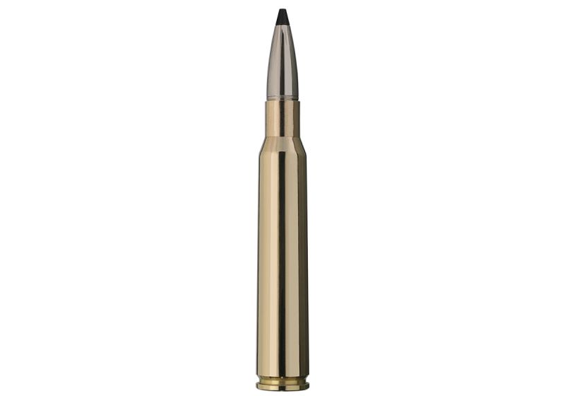 Cartouches CALIBRE 7X64 SPEED TIP PRO 150gr (9.7g) RWS X20 - Catégorie C