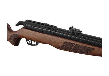 Carabine 5.5mm PCP GAMO RISER PUNISHER (E 40J) - Catégorie C