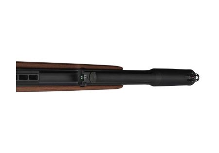 Carabine 5.5mm PCP GAMO RISER PUNISHER (E 40J) - Catégorie C