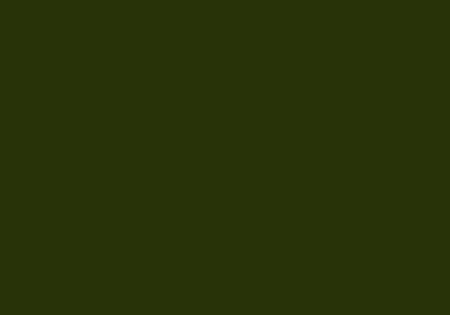 Peinture BOMBE MTN 94 400ml - RV-132 Vert Borneo - MONTANA COLOR