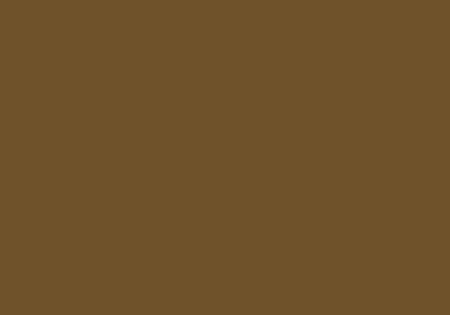 Peinture BOMBE MTN 94 400ml - RV-139 Marron Sequoïa - MONTANA COLOR