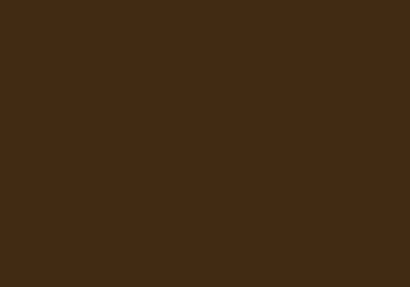 Peinture BOMBE MTN 94 400ml - RV-141 Marron Gondole - MONTANA COLOR