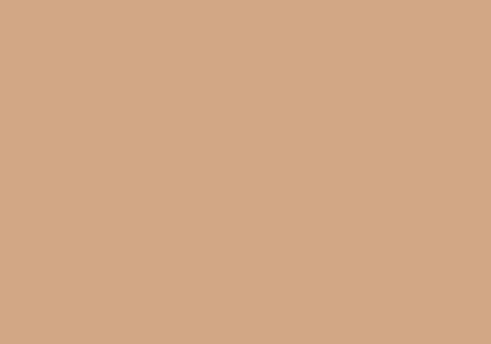 Peinture BOMBE MTN 94 400ml - RV-95 Marron Tana - MONTANA COLOR