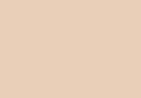 Peinture BOMBE MTN 94 400ml - RV-94 Marron Dingo - MONTANA COLOR