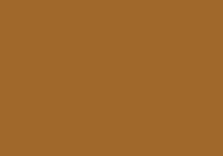 Peinture BOMBE MTN 94 400ml - RV-97 Marron Chiapas - MONTANA COLOR