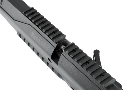 Carabine 5.5mm (Plomb) ICONIX BLACK PCP (E 19.9J)