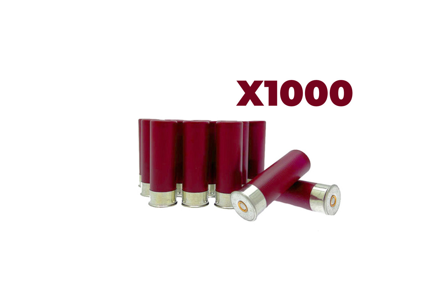Cartouches CALIBRE 12/70 A BLANC 0.9g BOURRE BIOR V2 TIR FORAIN X1000 Cartouches CALIBRE 12/70 A BLANC 0.9g BOURRE BIOR V2 TIR FORAIN X1000