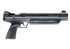 Pistolet 5.5mm (Plomb) UX STRIKE POINT PUMP UMAREX