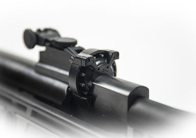 Pack carabine à plomb crosman remington express bois + plomb 4.5mm + cible