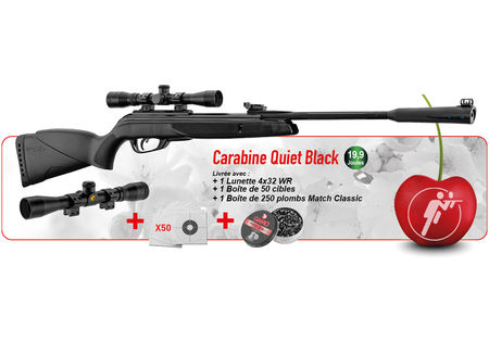 Pack carabine à plomb gamo quiet black + lunette 4x32 wr + cibles