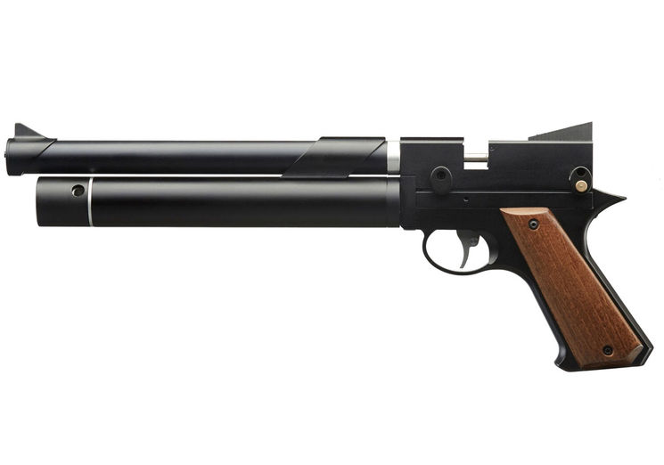 Pistolet 5.5mm (Plomb) PP750 PCP BLACK ARTEMIS SNOWPEAK