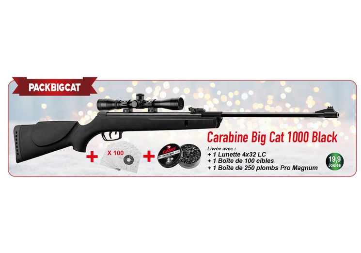 Pack carabine 4.5mm (Plomb) GAMO BIG CAT 1000 BLACK + LUNETTE 4X32 + CIBLES + PLOMBS
