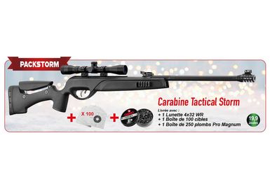 Pack carabine 4.5mm (Plomb) GAMO TACTICAL STORM BLACK + LUNETTE