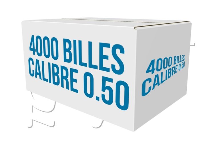 Carton de 4000 BILLES 1er PRIX SANS MARQUE CALIBRE 0.50